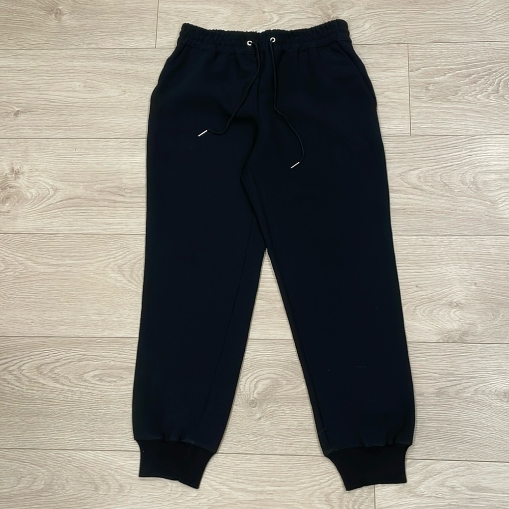 Aritzia Wilfred Buffon Dress Pant Joggers